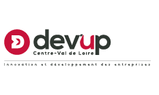 Logo de dev up