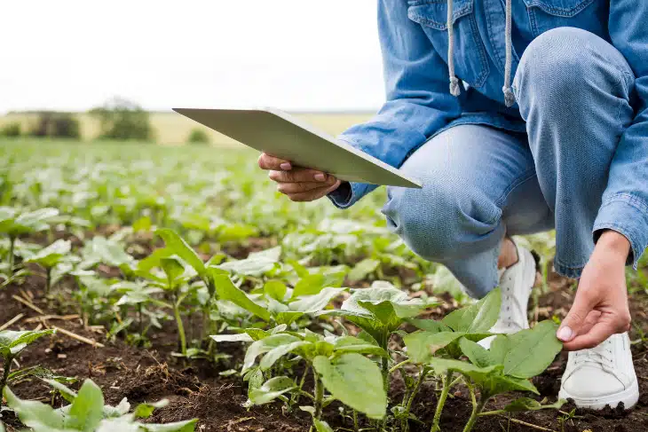 start-up-agriculture-regenerative