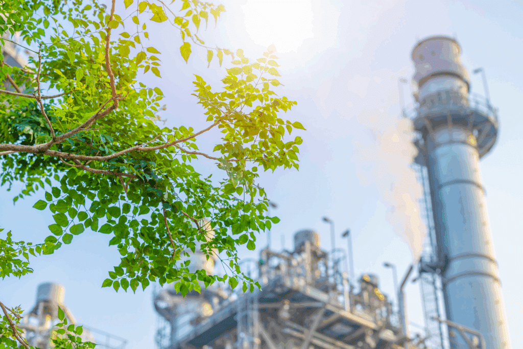 Arbre vert devant usine industrielle sous le soleil.