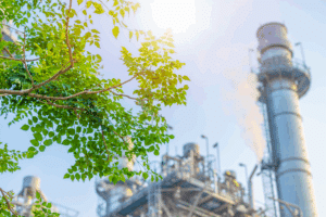Arbre vert devant usine industrielle sous le soleil.