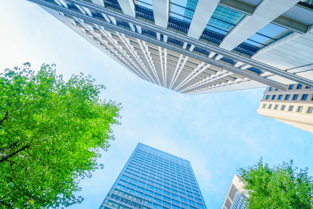 Immeubles et arbres sous un ciel bleu